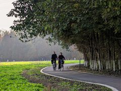 -桤木河湿地公园