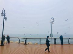 -东港音乐喷泉广场