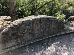 -白水寺森林公园