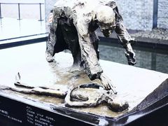 -侵华日军南京大屠杀遇难同胞纪念馆