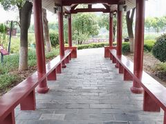 -金银湖国家城市湿地公园