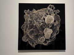 -金泽21世纪美术馆