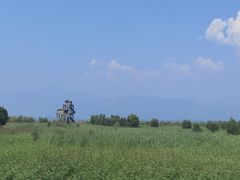 -野鸭湖国家湿地公园