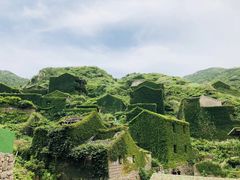 -枸杞岛