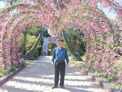 -大屏嶂森林公园