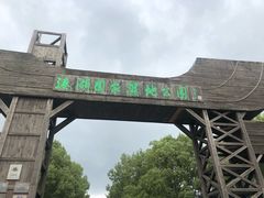 -溱湖国家湿地公园