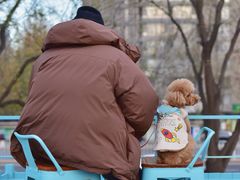 -BE YOLO必有乐&小红帽三明治