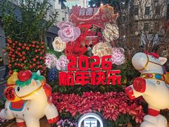 -越秀西湖花市(广州城市广场花卉店)