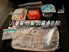 -新加坡航空公司(ION)