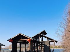 -溱湖国家湿地公园