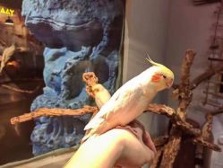 -Zoolung Zoolung动物主题公园(海信广场店)