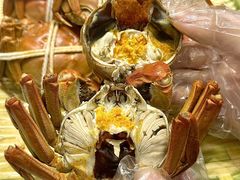 -蟹天蟹地农家菜·阳澄湖大闸蟹(浅水湾店)