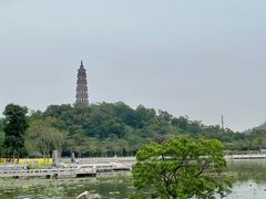 -顺峰山公园