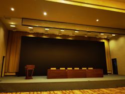 -天泰一站式婚宴·宴会厅