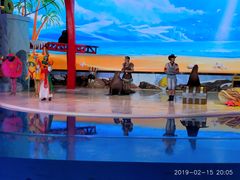 -三亚海昌梦幻海洋不夜城