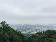 -灵岩山风景区