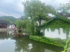-鲁镇