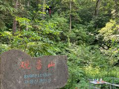 -五营红松林海景区