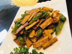 -丁老爷子苏香圆