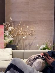 -恒美雅轩·品牌直营连锁