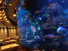 -迪拜帆船酒店海底餐厅