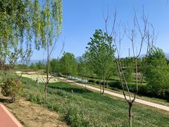 -洨河生态公园