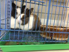 -山东嘉汇文化用品有限公司张店凤凰国际分公司(新村西路店)