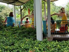 -荔湾区儿童公园