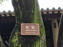 -南海神庙