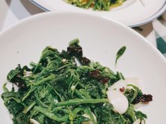 -紫光园·烤鸭·北京菜(劲松店)