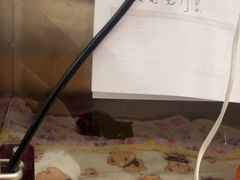 -瑞派康怡24h宠物医院·犬猫医疗中心·微创绝育(瑞景分院)