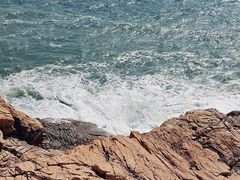 -广东惠东海龟国家级自然保护区