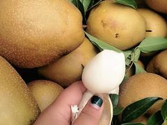 -宋记冕宁土菜馆(海门渔村二店)