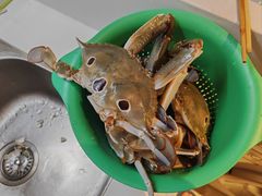 -海峡水产品交易中心(海鲜交易区)