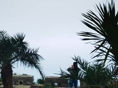 -海南铜鼓岭景区