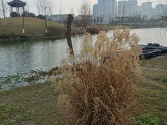 -眉山湿地公园(东坡区)