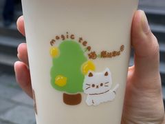 -猫的魔法密林(衣裳街店)