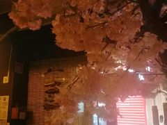 -金龙咖喱