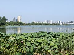 -金银湖国家城市湿地公园