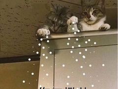 -考拉拉音乐酒吧