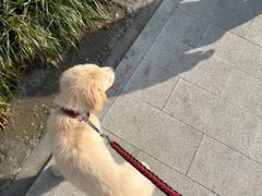 -佳雯宠物医院·皮肤科·内外科(春晓路分院)