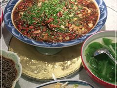 -新概念来凤鱼(璧山店)