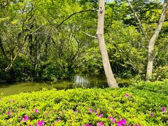 -西溪天堂·悦居