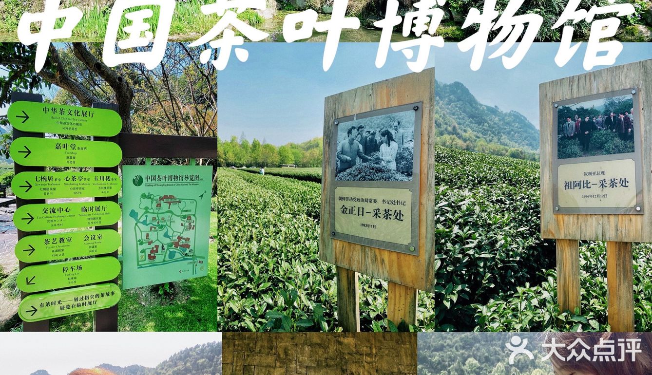 杭州游记｜茶文化主题展馆｜中国茶叶博物馆