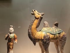 -南京博物院