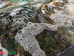 -岛中岛·海鲜大排档·万宁老字号(东澳店)