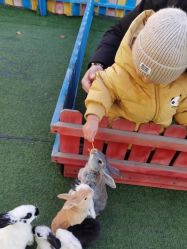 -萌宠亲子动物乐园(槐房万达店)