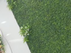 -南京医科大学友谊整形外科医院