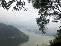 -铁山坪森林公园