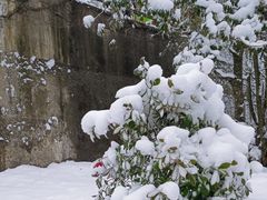 -瓦屋山景区